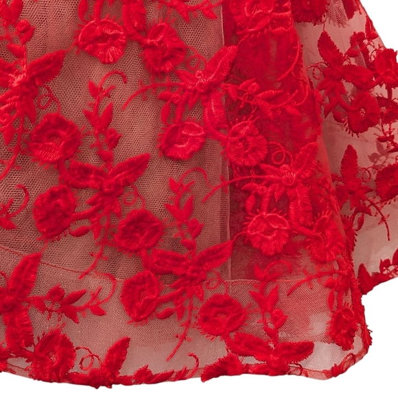 NWT Nadine Merabi Red Lola Lace Mini Dress Size XS/2 - Picture 4 of 16